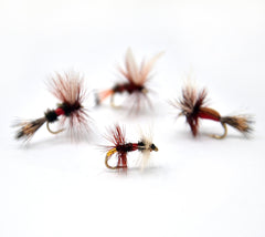 Outdoor Planet Royal Coachman dry fly close-up for freshwater trout and grayling angling.