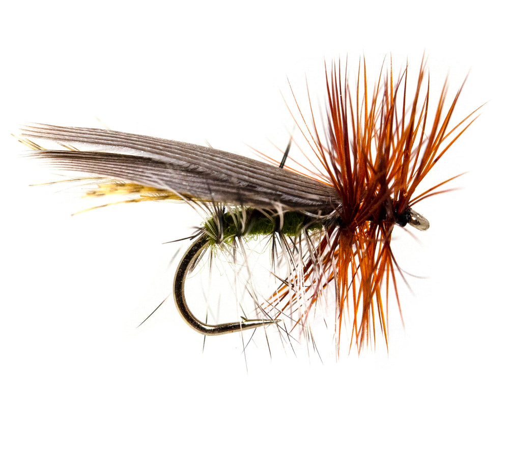 Outdoor Planet dry-fly tin organization for quick on-water access