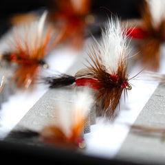 Outdoor Planet nymph flies selection providing subtle presentation across river conditions.