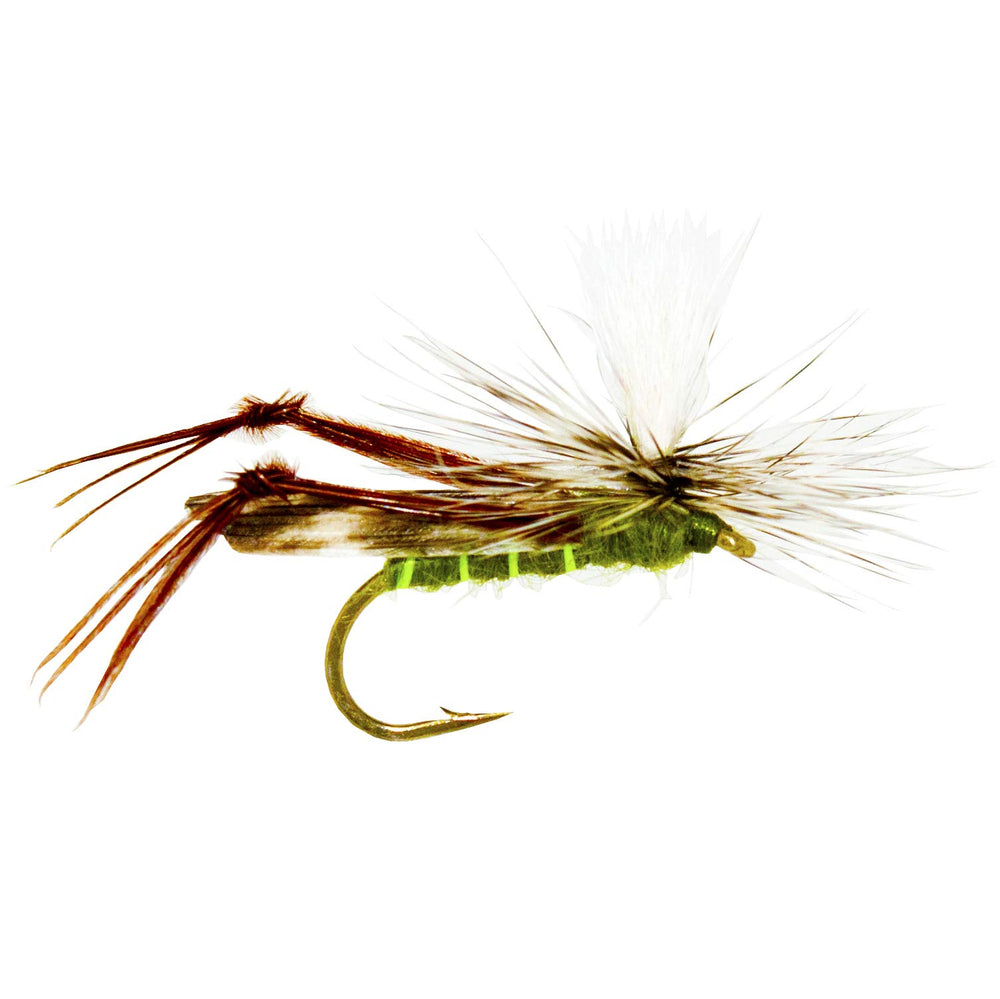 Outdoor Planet flies in sizes 8-14 cover common trout feeding ranges
