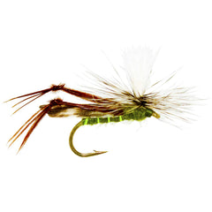 Outdoor Planet flies in sizes 8-14 cover common trout feeding ranges