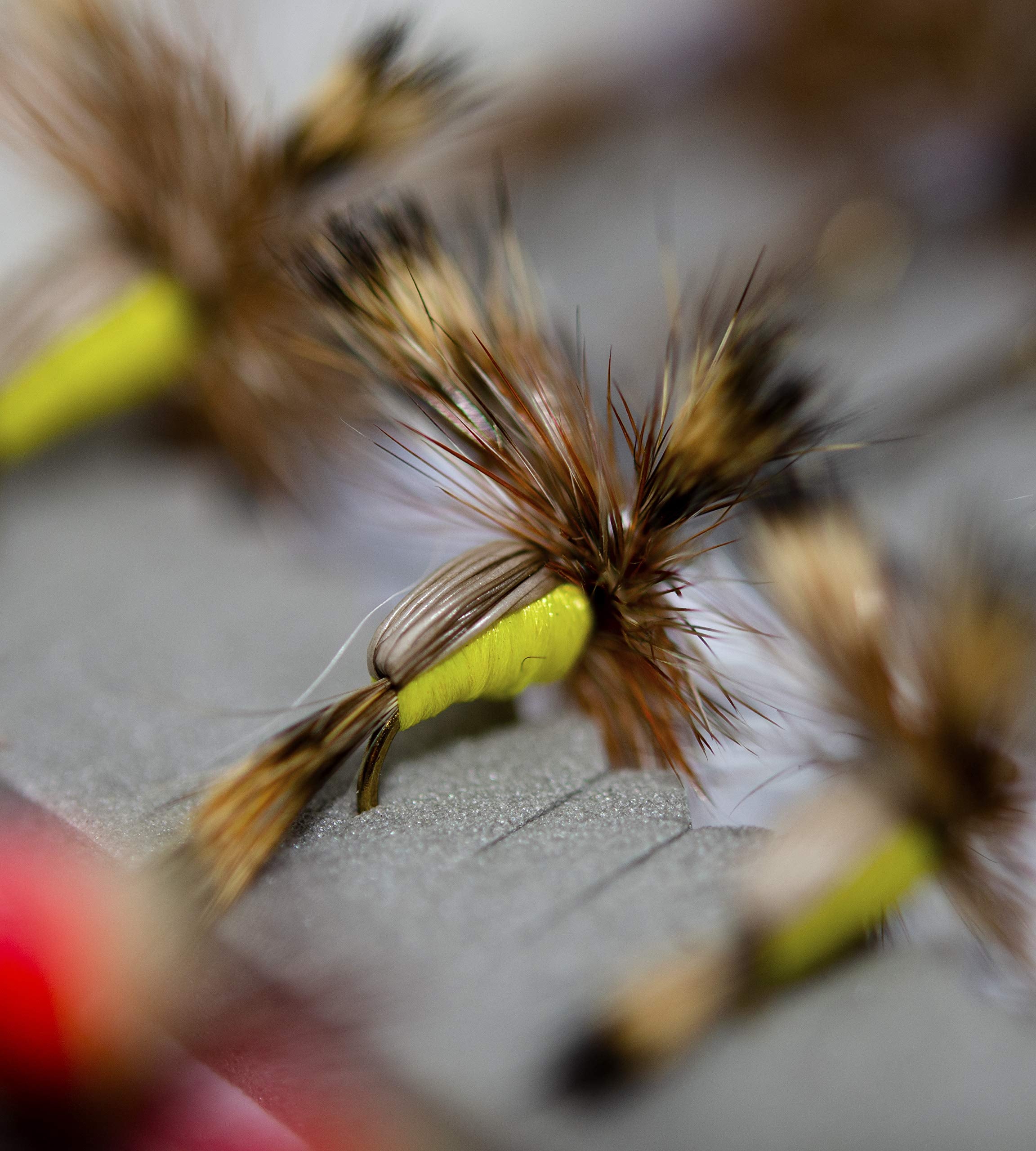 Outdoor Planet premium fly collection offering a curated trout-fishing selection