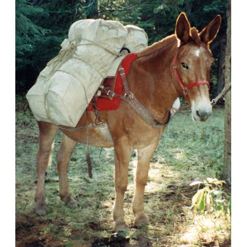 Outfitters Supply 18oz canvas manty close-up showing durable fabric texture for outdoor use.