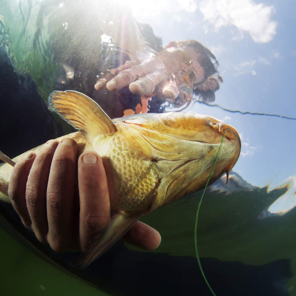 Suitable for stream, river, lake and ocean fishing with this kit