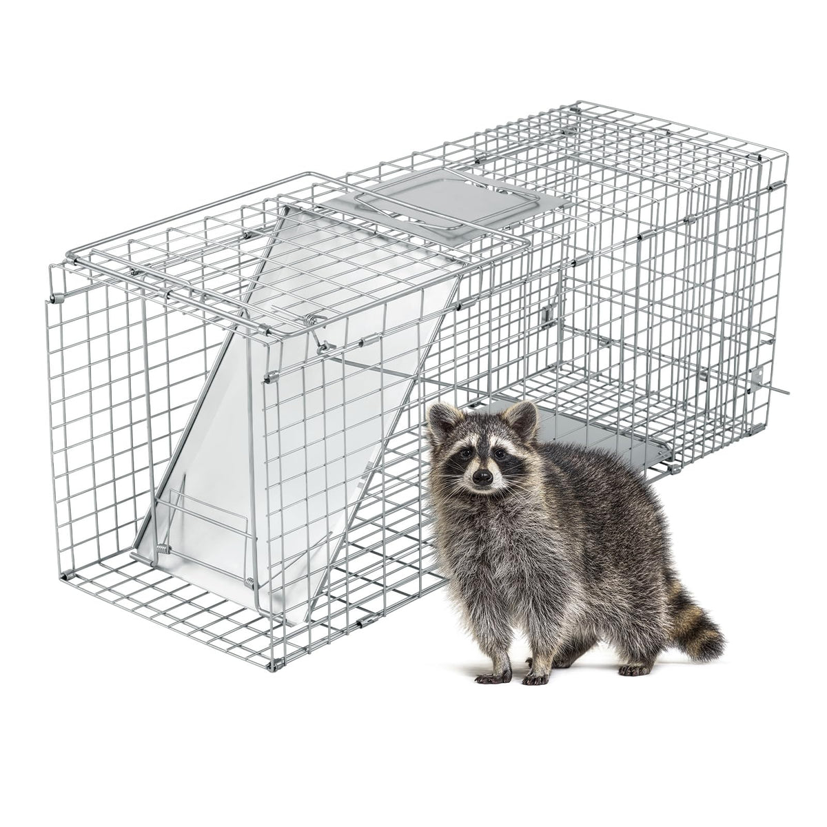 Outvita 32-inch live animal cage trap front view for humane relocation
