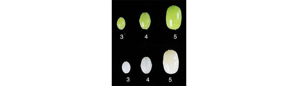 Owner 5197-409 pink glow beads lure walleyes at night