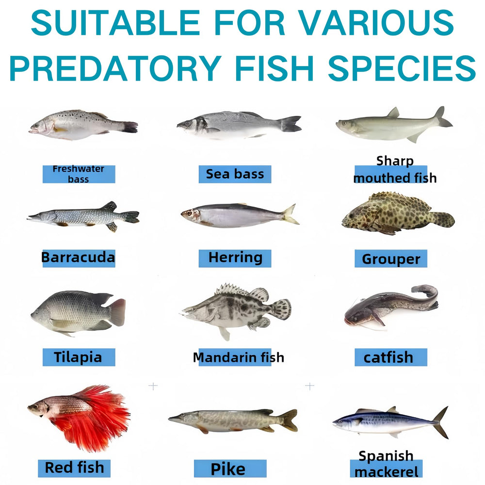 Bright color options visible in water to attract predators