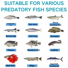 Bright color options visible in water to attract predators