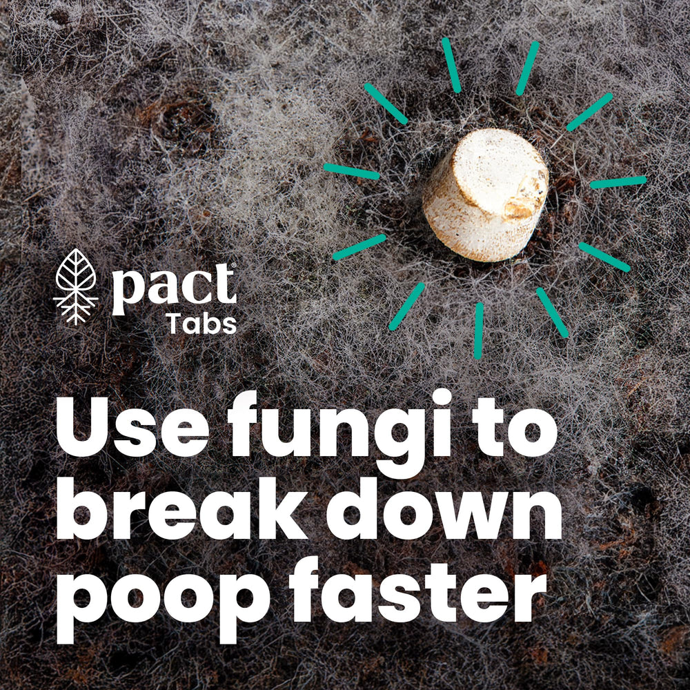 PACT Ultra Lite Bathroom Kit wipes pouch offers plant-based, plastic-free cleanup.