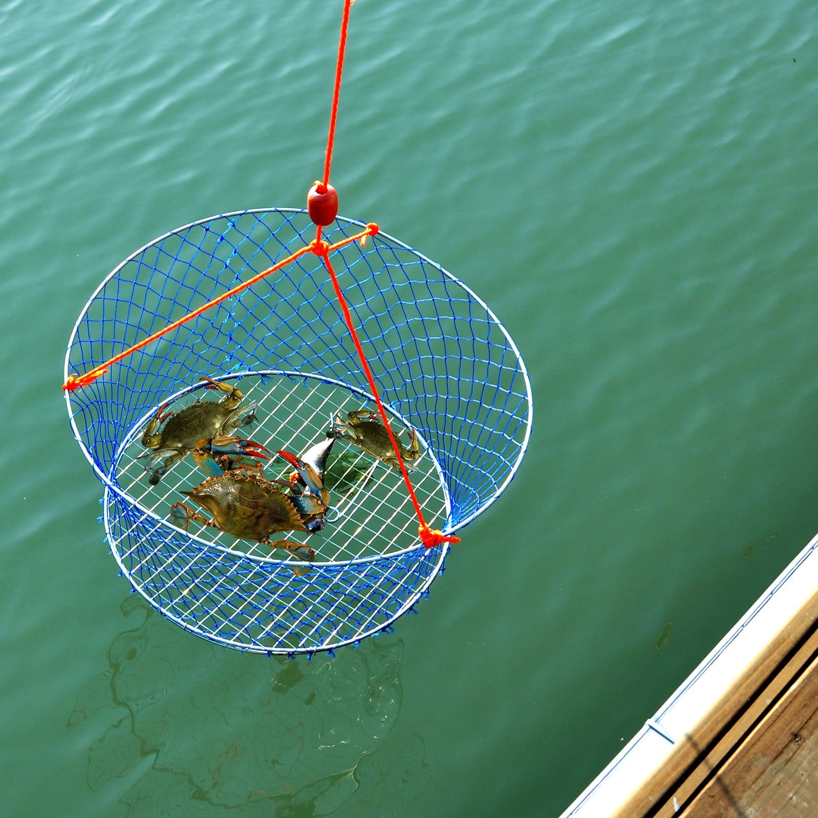 Overview image of Palmyth two-ring crab kit