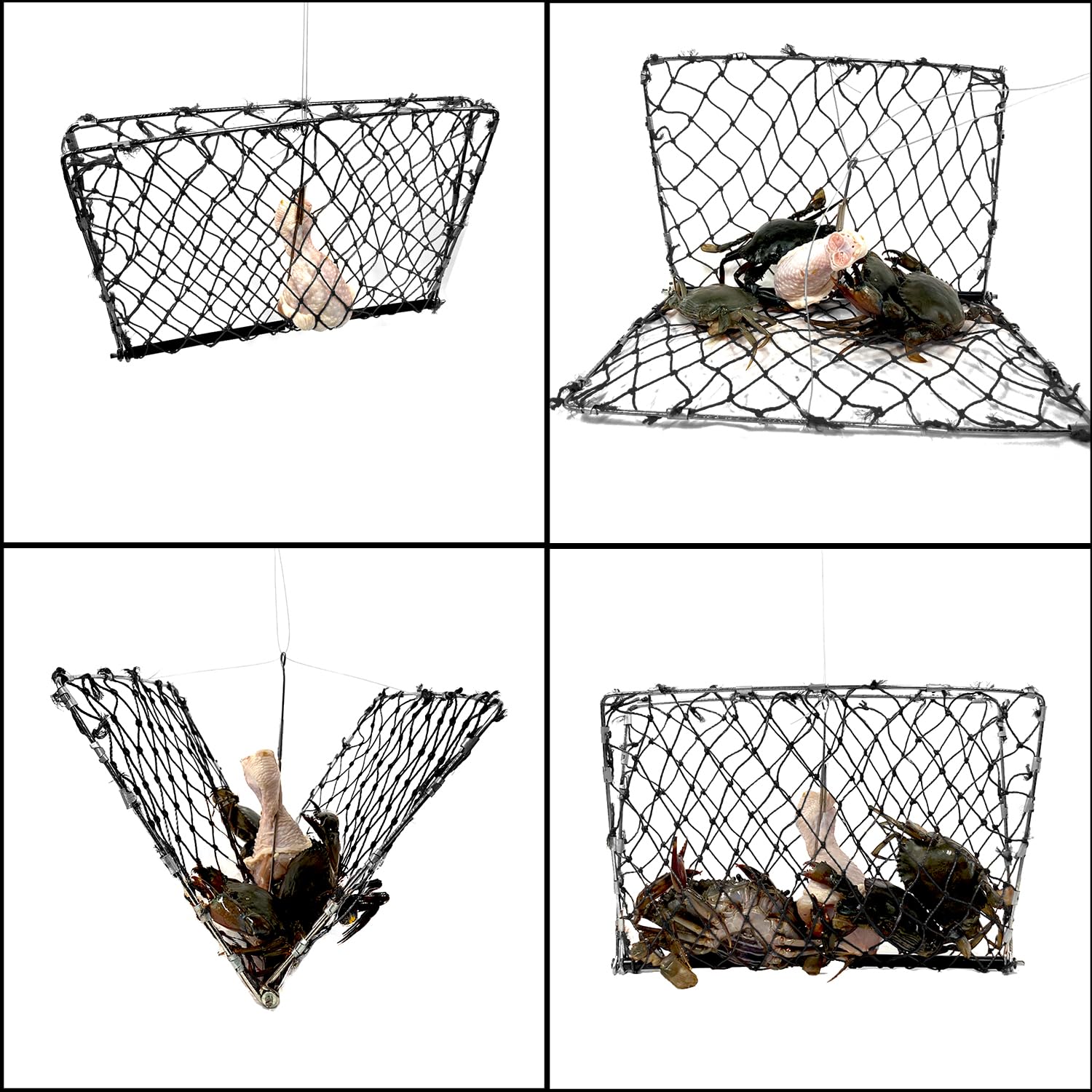 Bait clip attached to Palmyth crab trap
