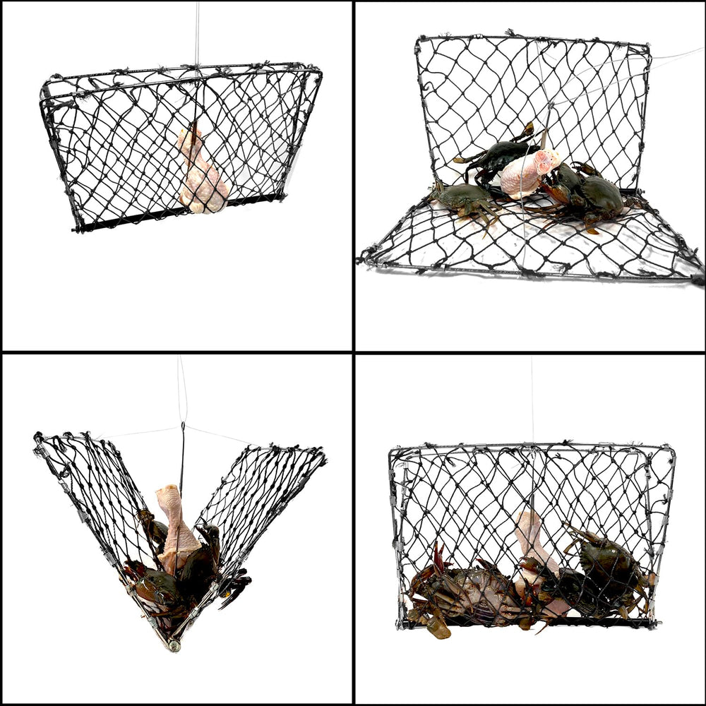 Bait clip attached to Palmyth crab trap