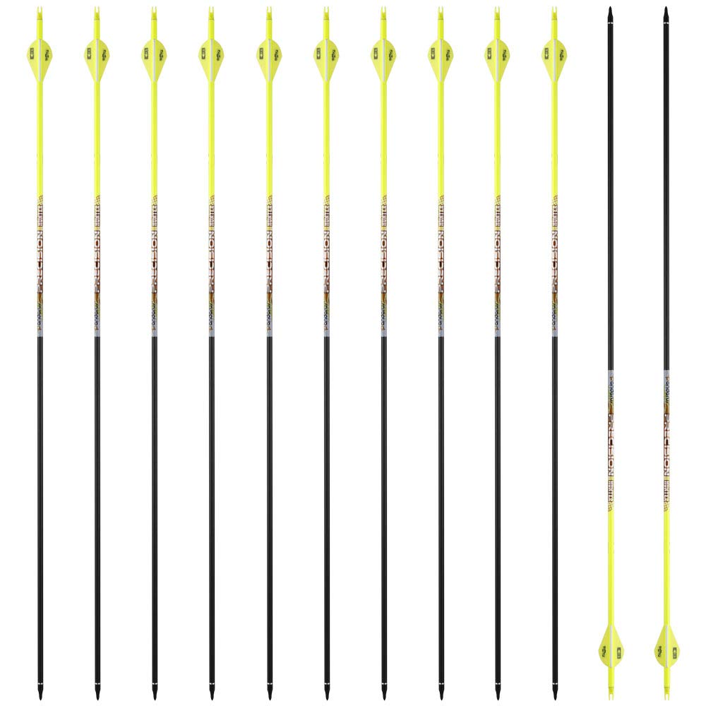 PANDARUS 12-pack carbon arrows for hunting and target practice