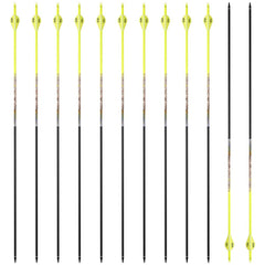 PANDARUS 12-pack carbon arrows for hunting and target practice