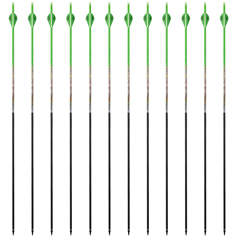 PANDARUS safety guide image emphasizes proper handling and fletching care