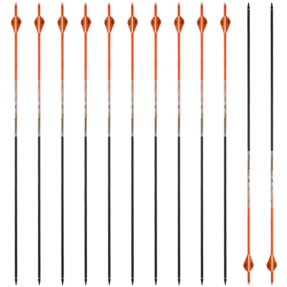 PANDARUS 30-32 inch carbon arrows with TPU vanes for precise practice