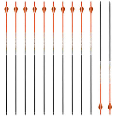 PANDARUS 30-32 inch carbon arrows with TPU vanes for precise practice