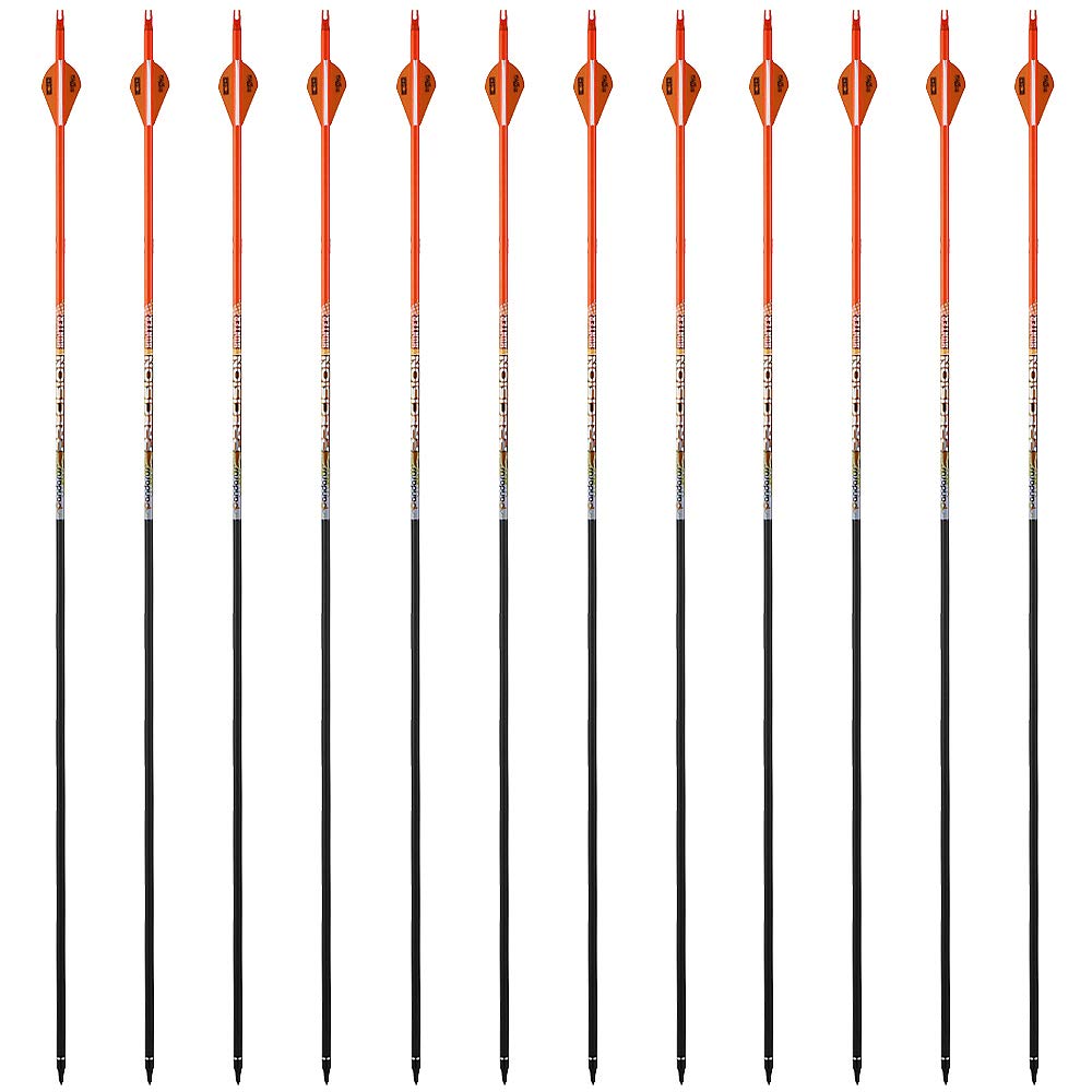 PANDARUS pack of 12 pure carbon arrows for hunting and practice