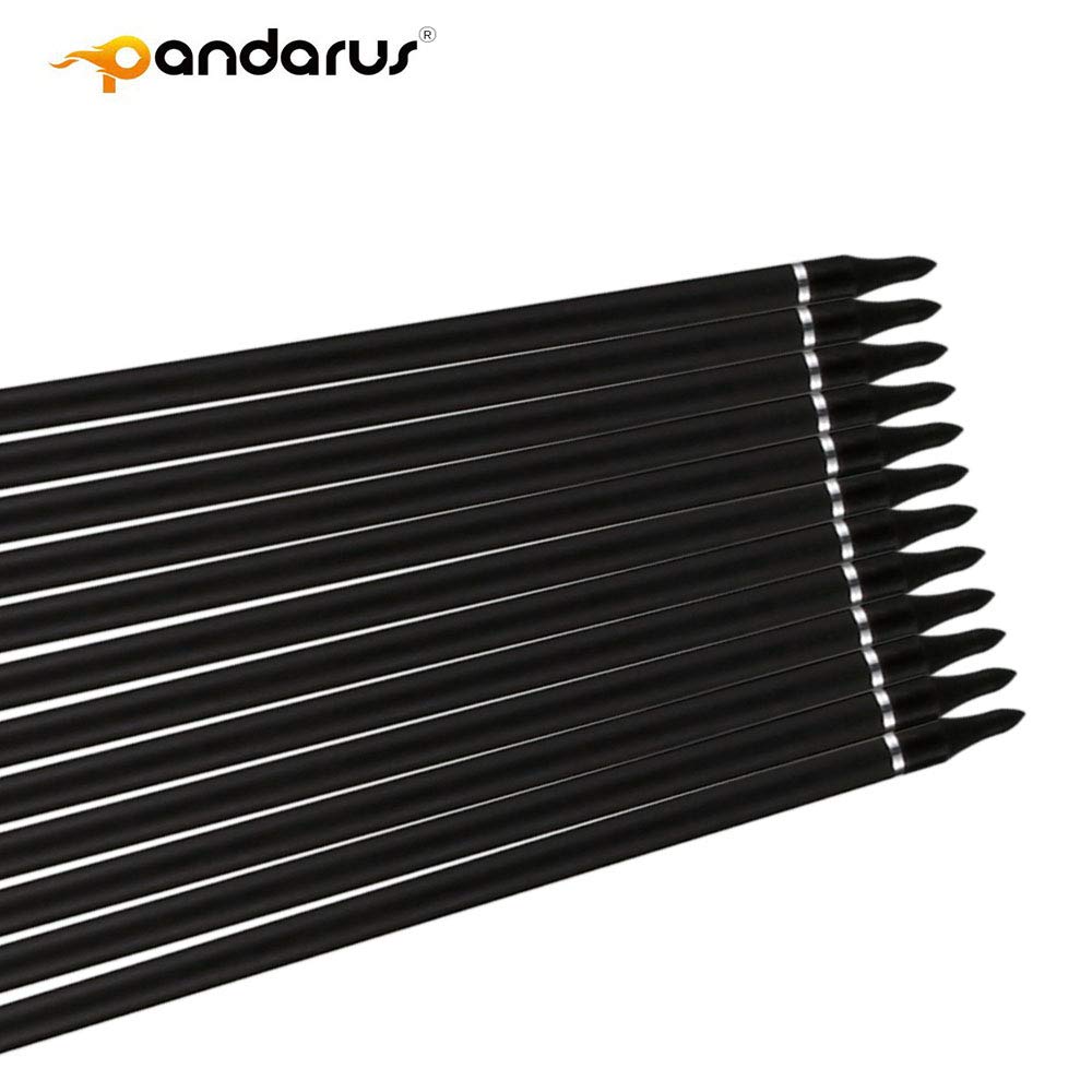 PANDARUS removable points with aluminum inserts for quick target changes