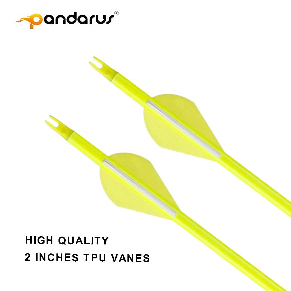 PANDARUS packaging includes 12 arrows and 6 extra nocks