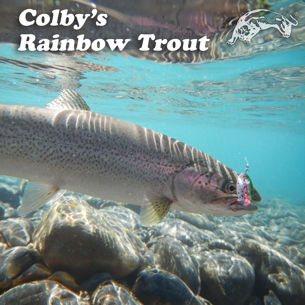 Panther Martin fish species visuals illustrate versatile lure uses for multiple fish.