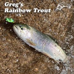 Panther Martin FishSeeUV Vibrant Image lure patterns provide high-contrast appeal for multiple species.