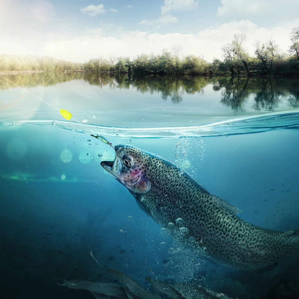 PATIKIL float setup on an oval yellow float for multi-rig use.