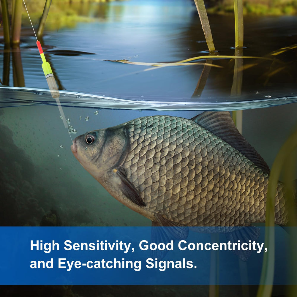 PATIKIL versatile floats for freshwater and saltwater fishing environments.