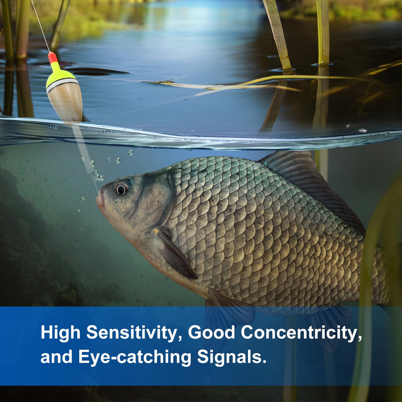 PATIKIL bright colors improve visibility in low light conditions.