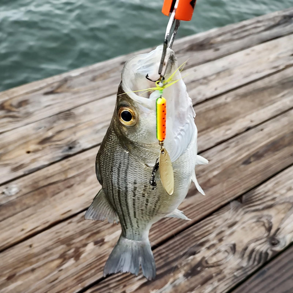 PATIKIL lure attachment hole demonstrates easy integration with clevis or rings.