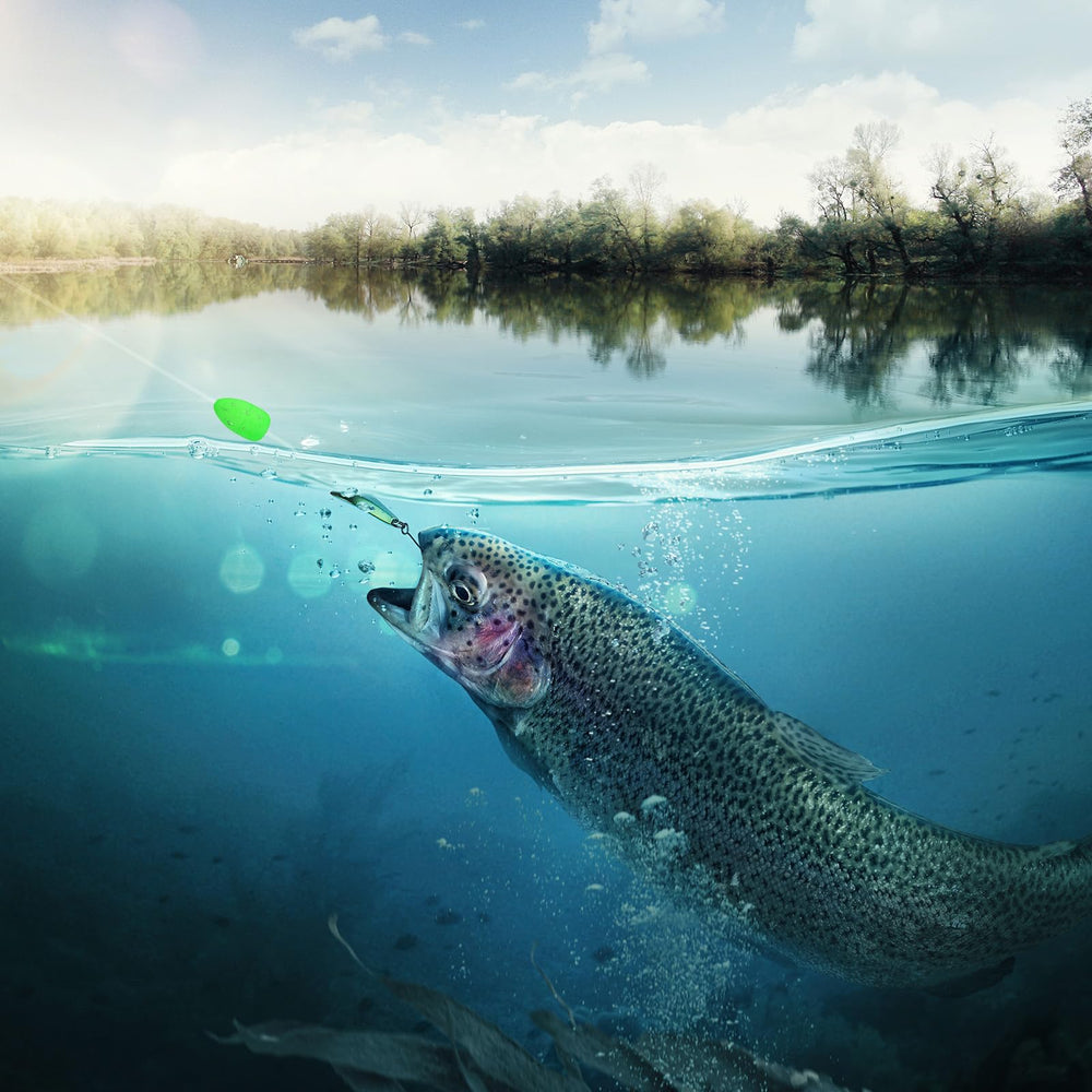 PATIKIL bright green floats improve water visibility during fishing sessions.
