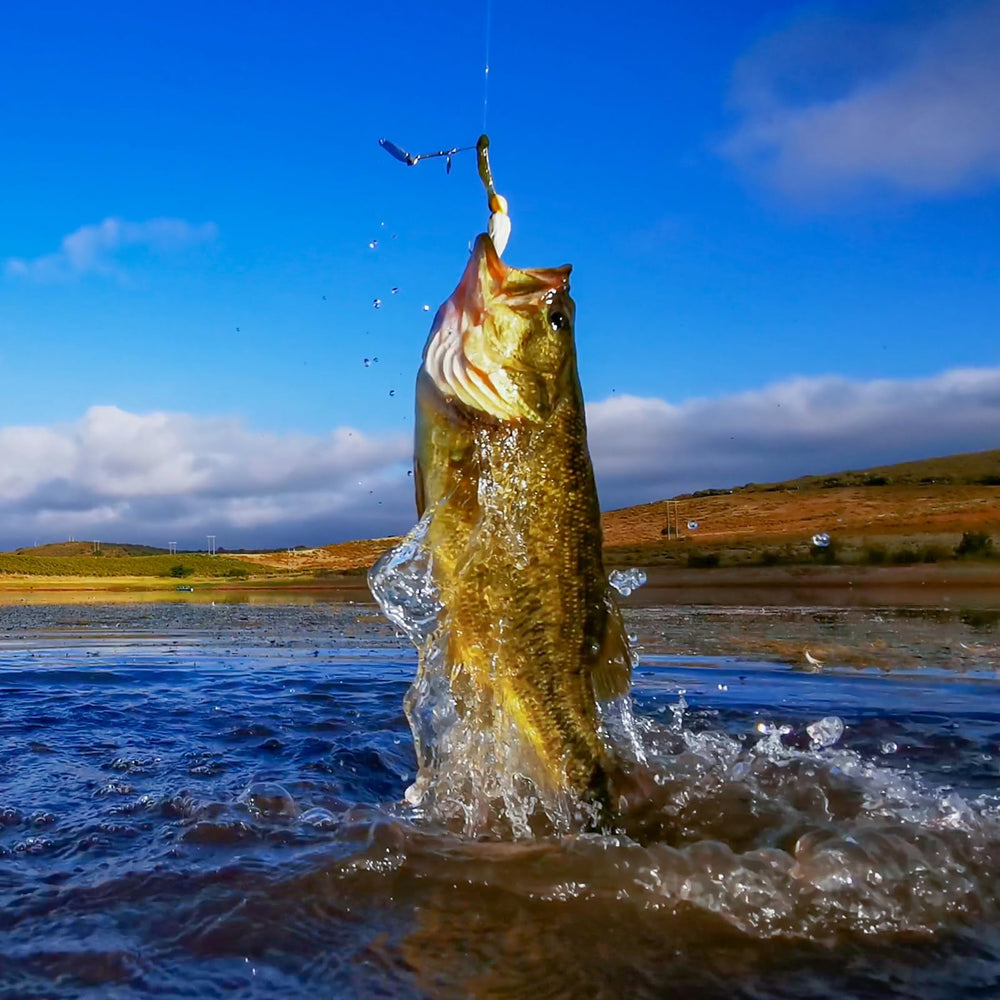 PATIKIL durable, portable fishing tackle beads for easy storage.