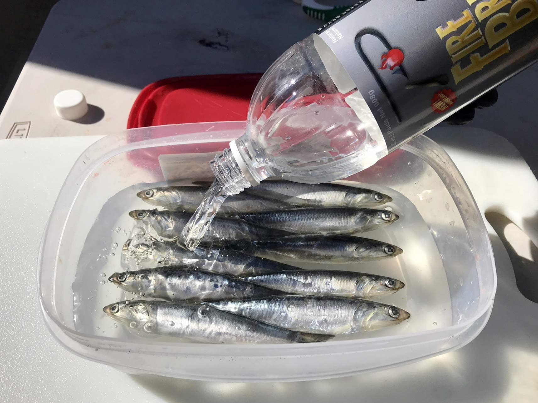 Salmon and steelhead bait prepared with Fire Brine