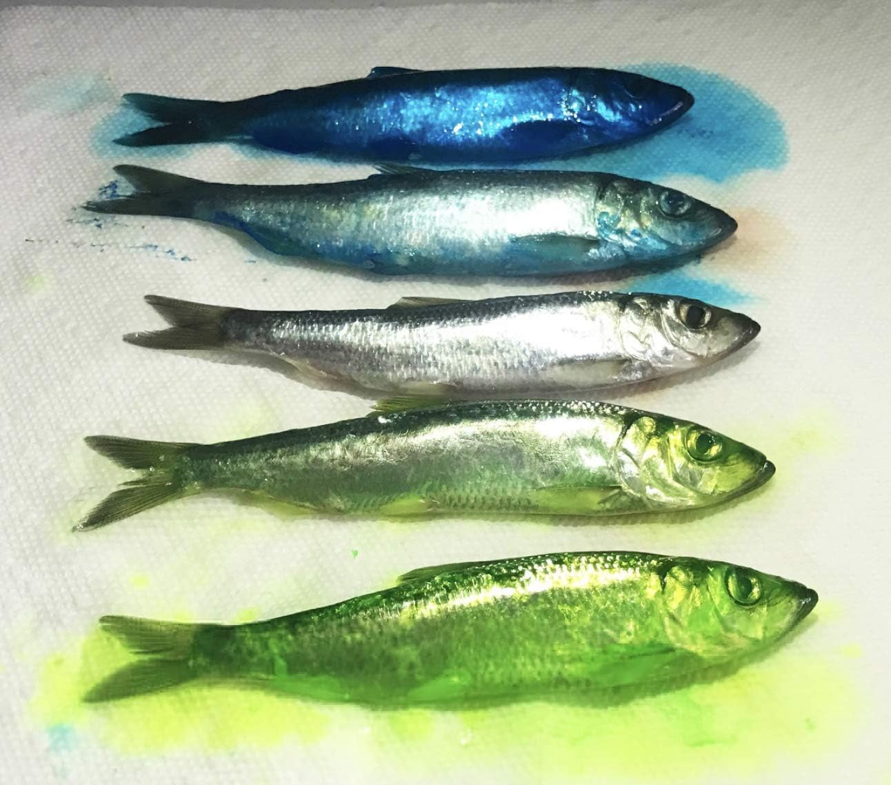 Eight color swatches representing Fire Brine color options