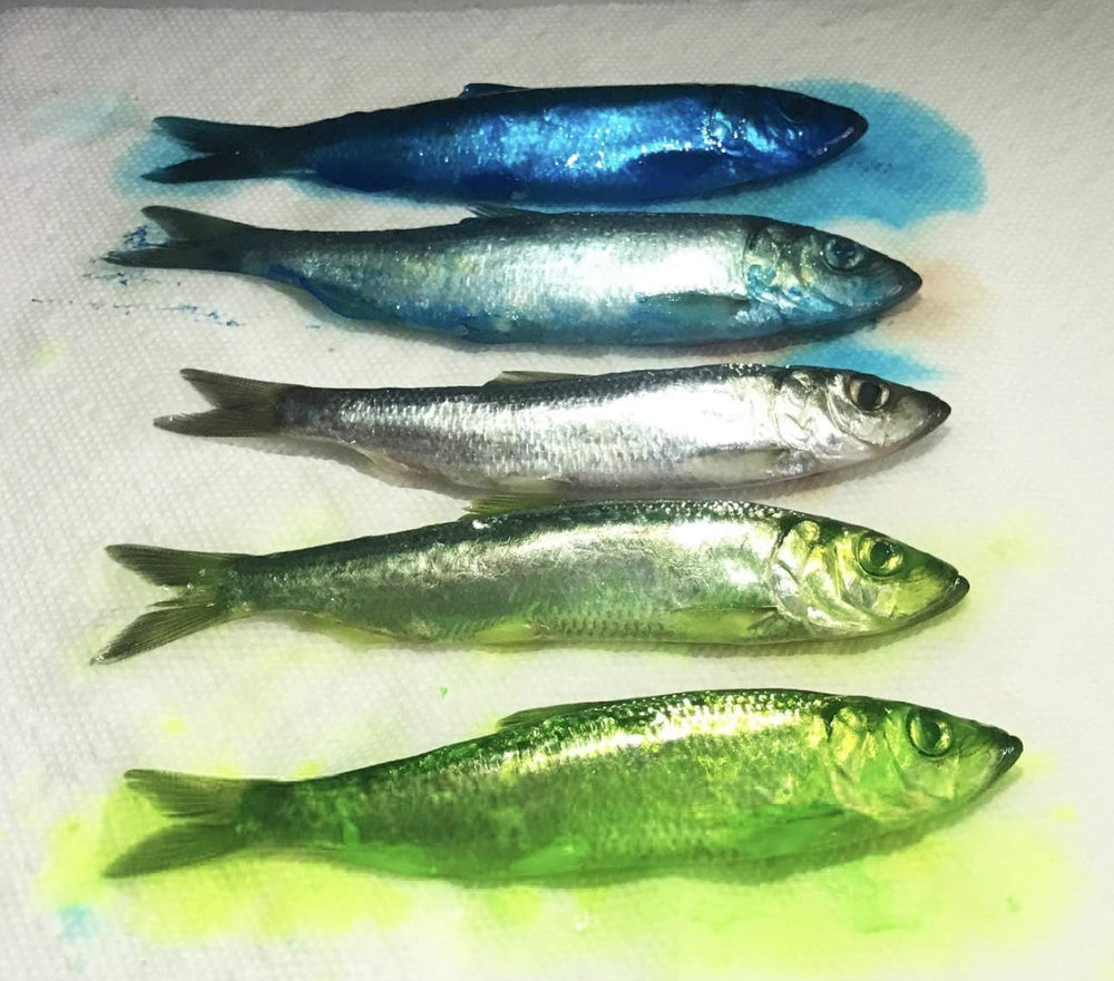 Eight color swatches representing Fire Brine color options