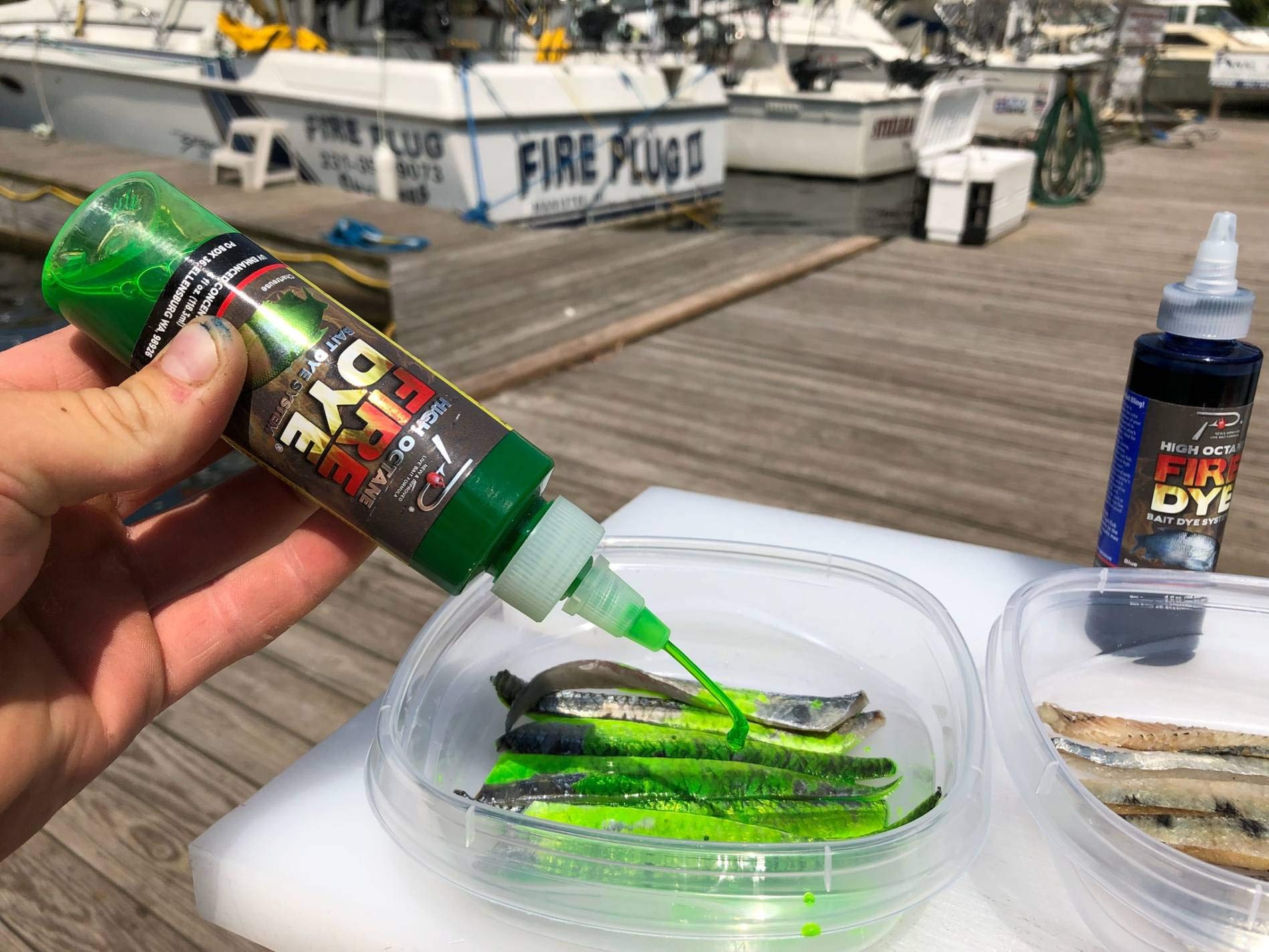 UV-enhanced bait dye applied to freshwater live bait