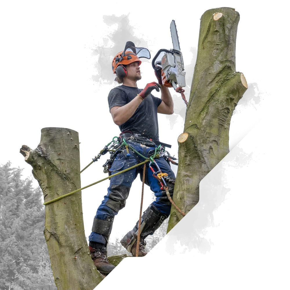 Pelican Rope Arborist-24 usa-made-quality reflects trusted construction for professionals