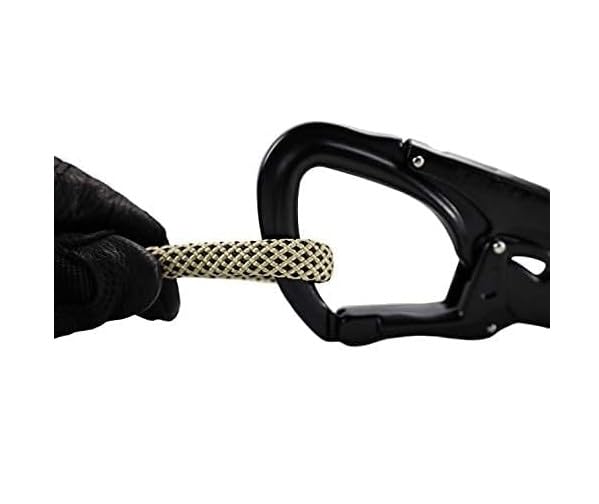 Bulldog prusik used on arborist rope setup for tree work