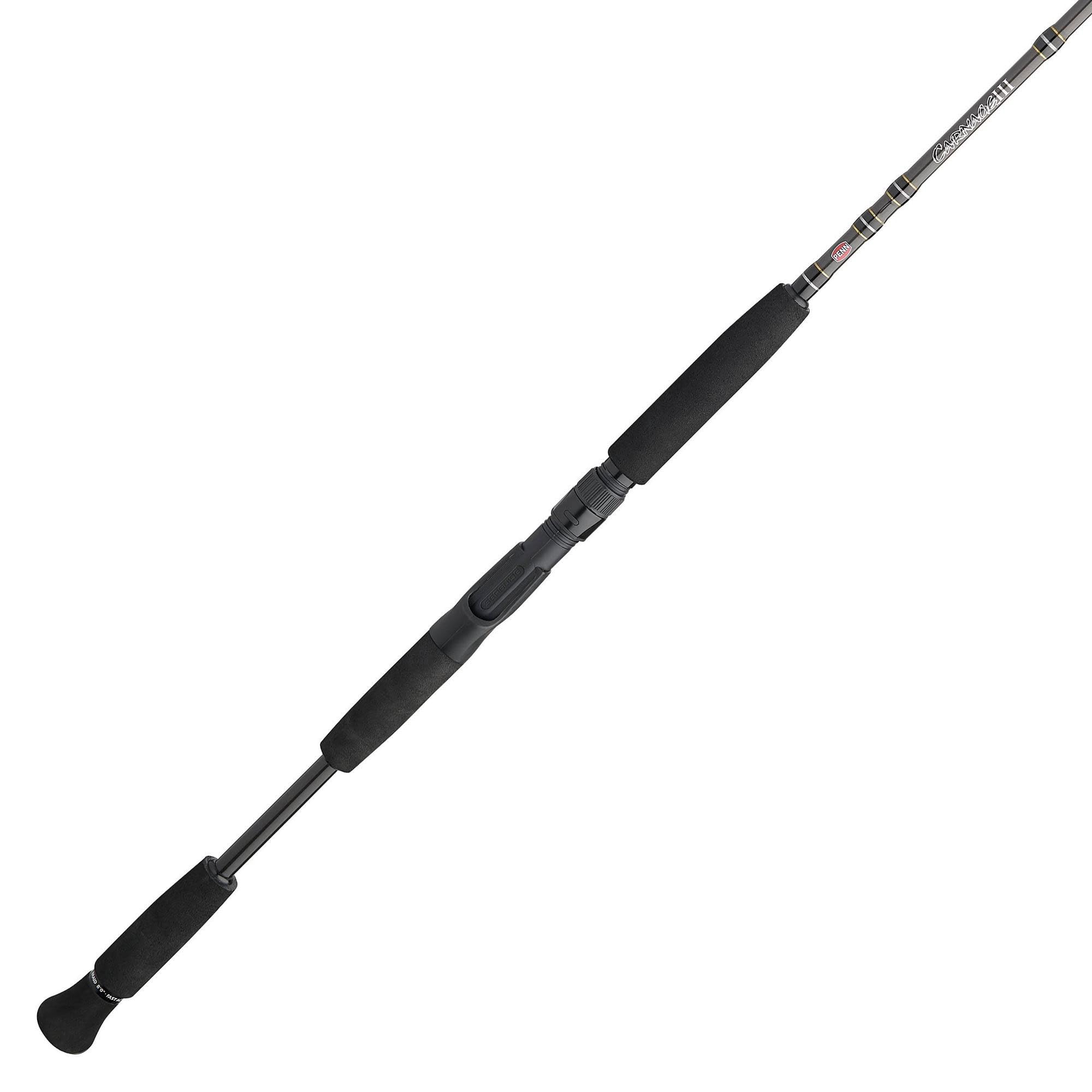 Penn Carnage III inshore rod packaging displays for setup.