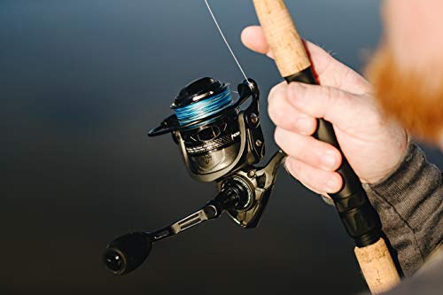 PENN Clash II size range 1000-5000 in-hand comparison for inshore use.