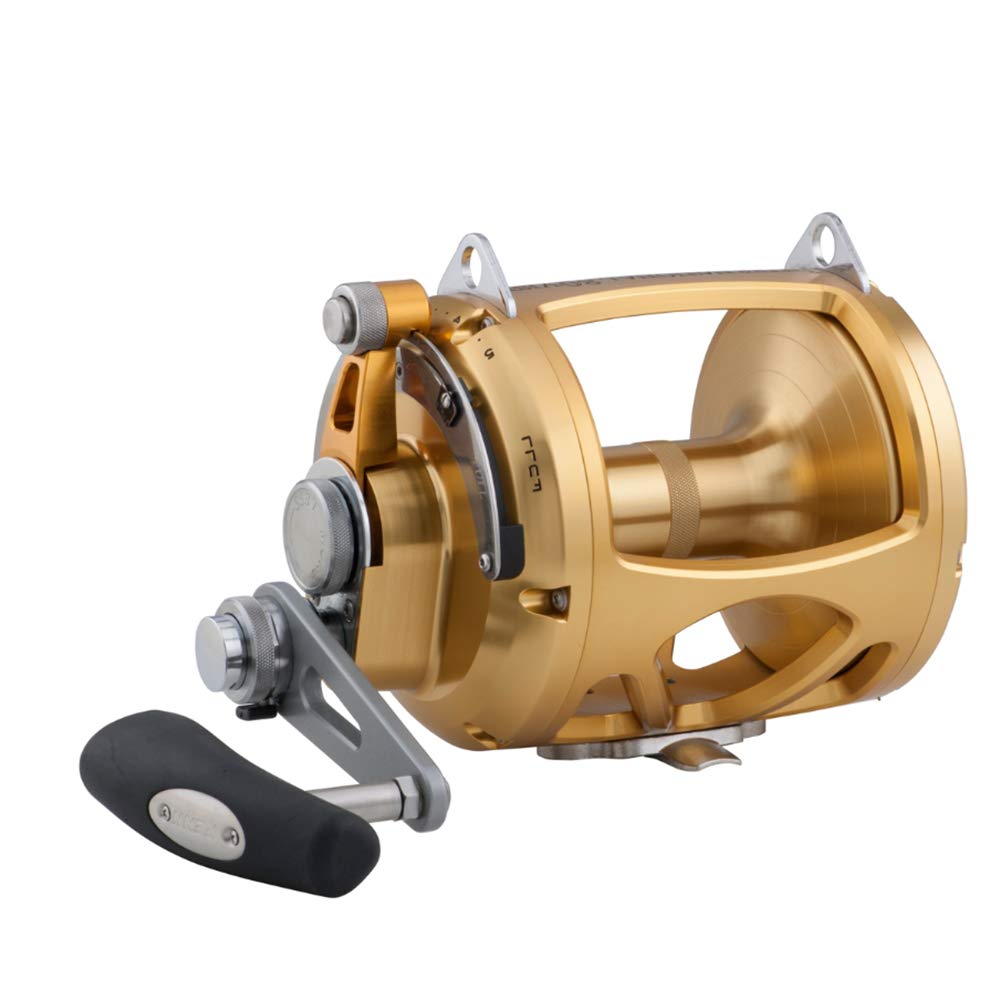 PENN International 80VISW reel side profile for saltwater versatility