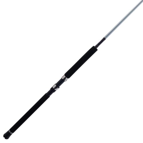 Penn Prevail III rod with Dura-Guides delivers durability for every tide.