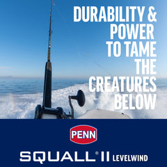 PENN Squall II 30LW reel body shows durable, saltwater-ready construction.