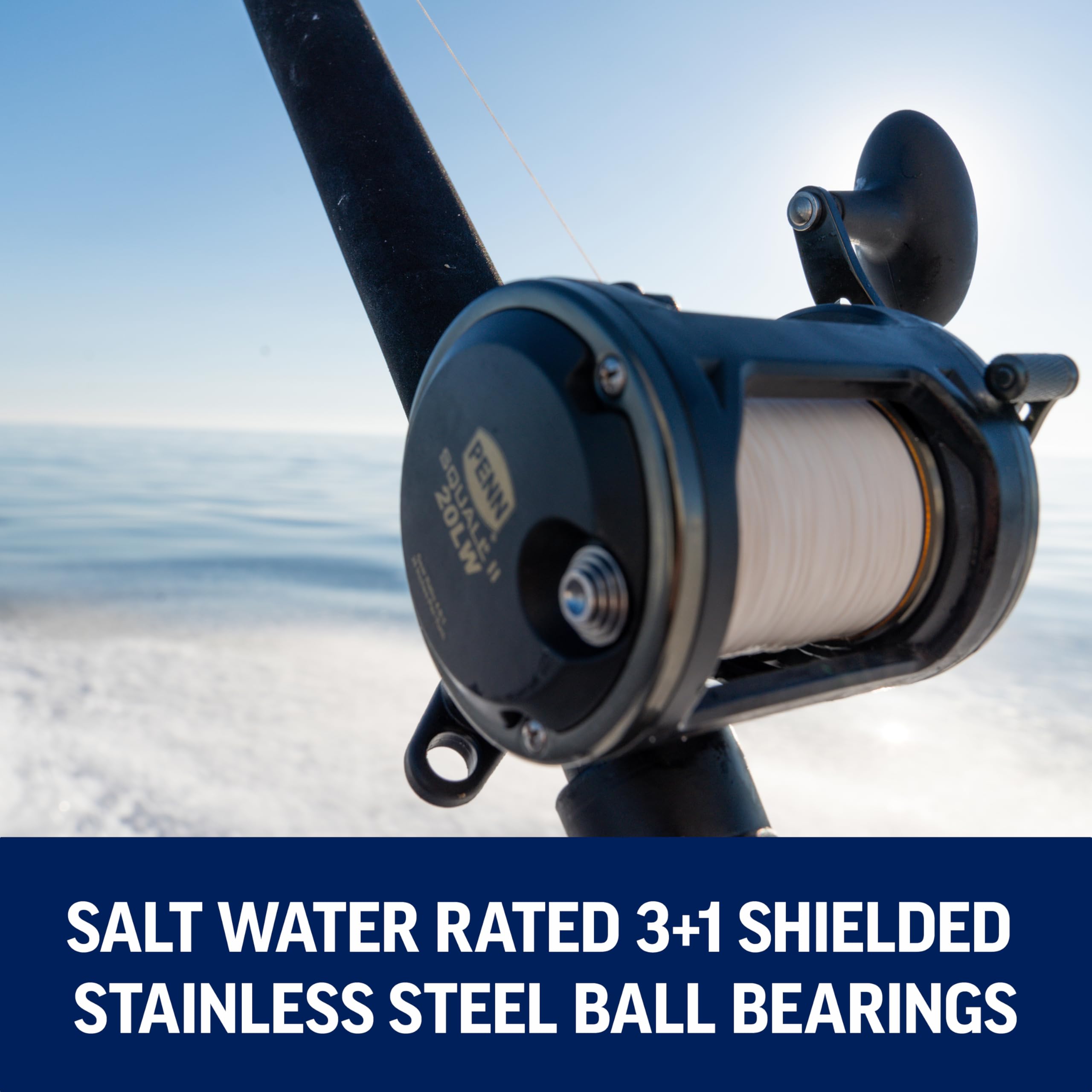PENN Squall II Level Wind reel bearing close-up with 3+1 bearings