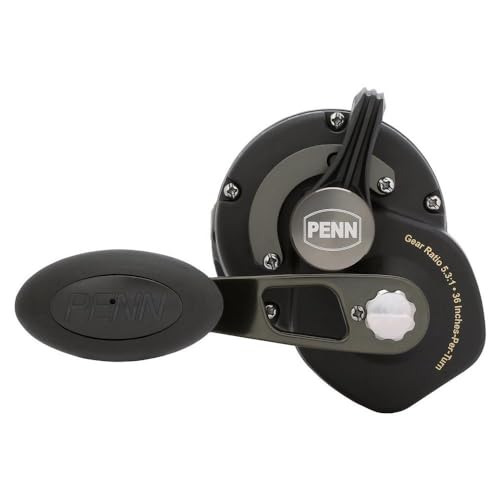 PENN Squall II lever-drag reel aluminum spool enables smooth line control and quick retrieves.