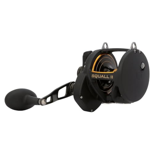 PENN Squall II reel showing graphite sideplates for ergonomic, easy-handling all day