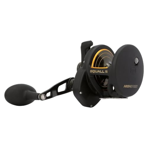 PENN Squall II lever drag reel showing stainless gears for smooth retrieves