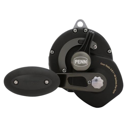 PENN Squall II palm-side graphite frame for lightweight comfort during long sessions.