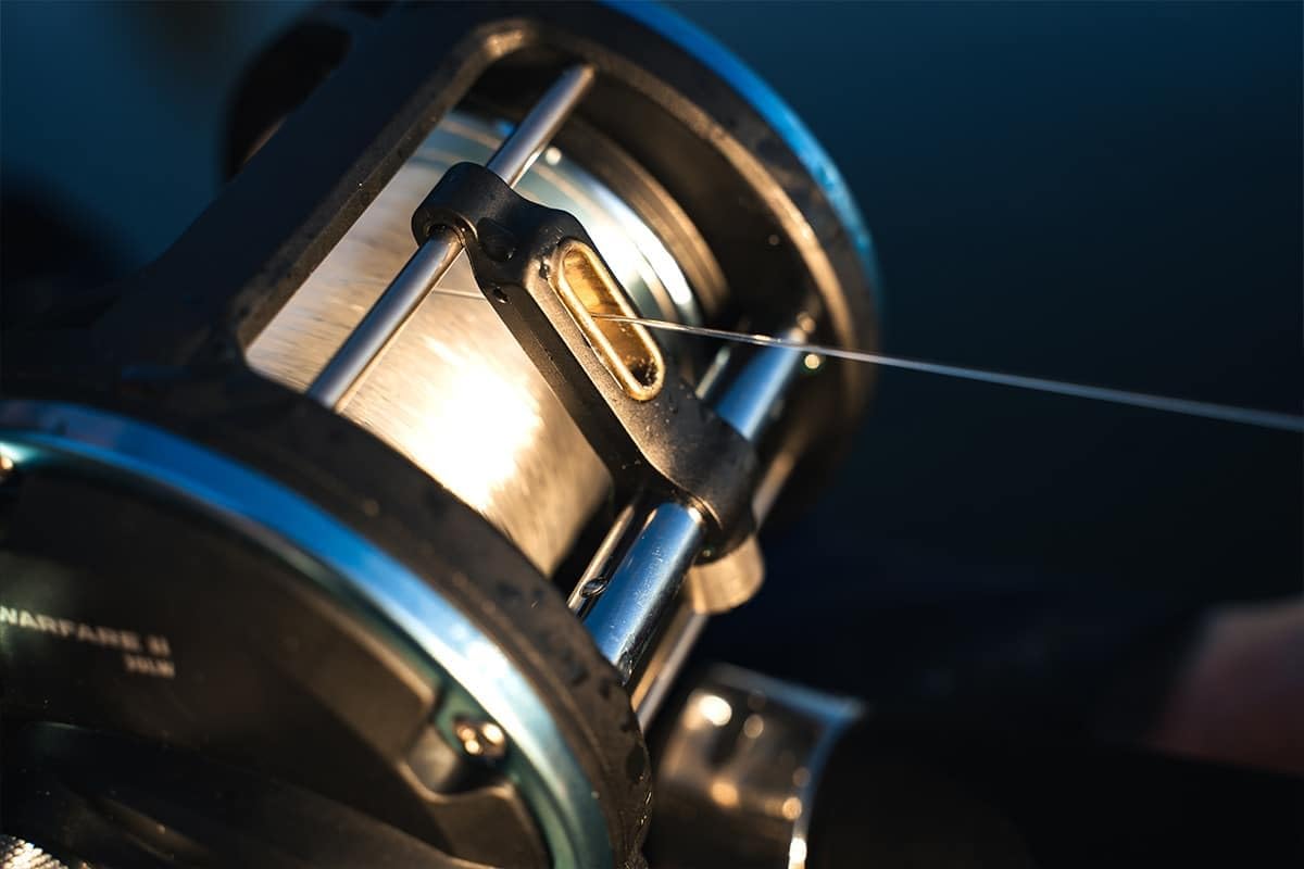 PENN Warfare II line-capacity-rings help monitor line during long fights.