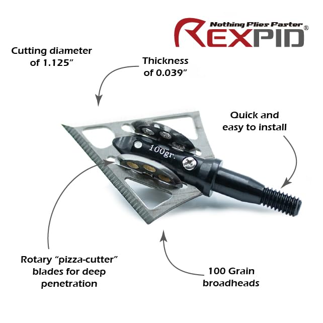 PeppermintOne REXPID NURI 1-1/8 inch cut highlights broad surface.